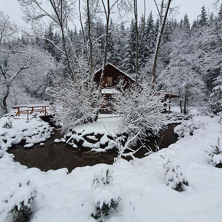 Relax Island Guesthouse Izvoare  Dış mekan fotoğraf